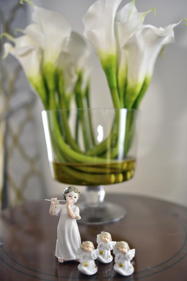 Mandusa Heritage Apartments ザグレブ エクステリア 写真